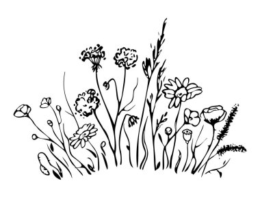 Set of wild meadow herbs and flowers. Black silhouettes of grass and herbs isolated on white background. Hand drawn sketch flowers