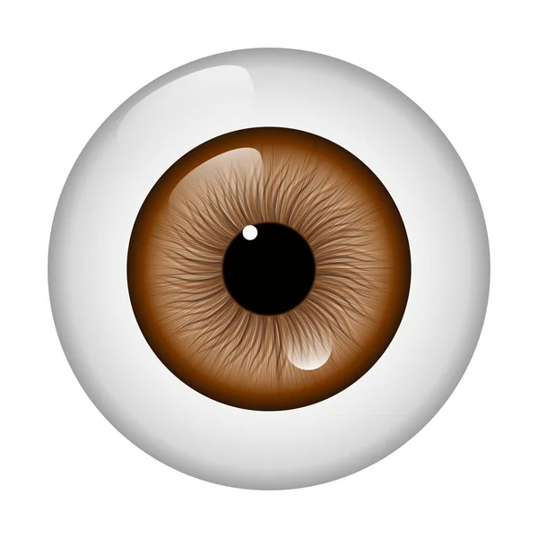 Brown eyeball isolated on white background. Ophtalmology. White background. Vector illustration