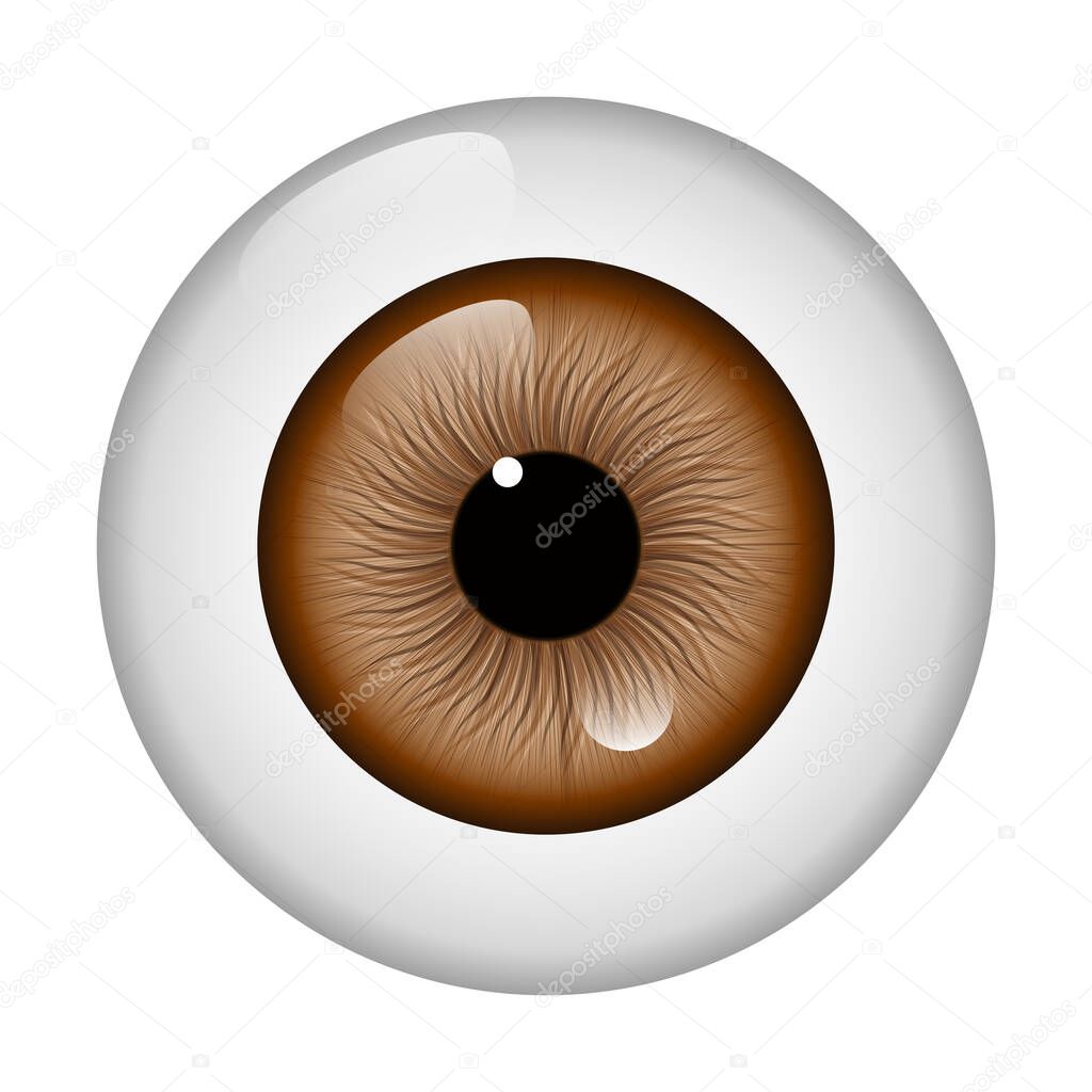 Brown eyeball isolated on white background. Ophtalmology. White background. Vector illustration
