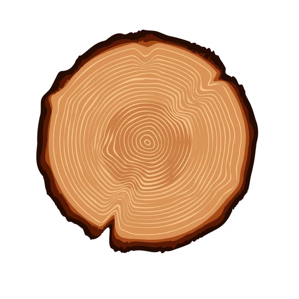 Isolated Tree Trunk Ring Tree Ring Texture Texture Wood Vector — Vetor de Stock