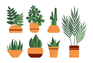 Home indoor decorative plants growing in pots. Green plants for home Bundle of house plants isolated on a white background. Vector illustration