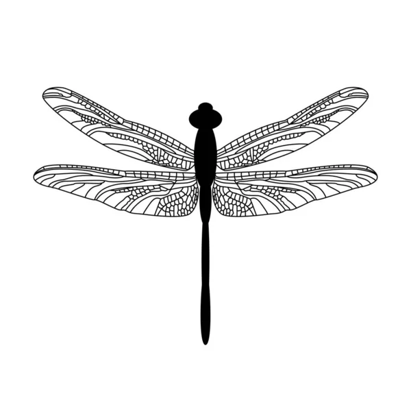Όμορφη Διανυσματική Απεικόνιση Dragonfly Λευκό Φόντο Διακοσμητική Σιλουέτα Εντόμου Που — Διανυσματικό Αρχείο