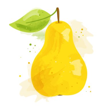 Yeşil yapraklı sarı armut. Suluboya efekt vektör çizimi ile armut. Sebze yemeği. Doğal ürün.