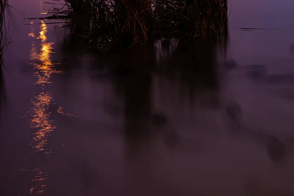 Orange Lights Reflecting Swampy Grass Filled River Waters Night — Stock Photo, Image