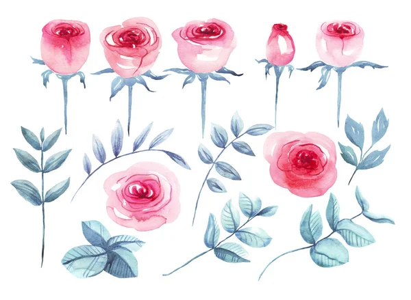 Rosas Folhas Definidas Ilustração Aquarela Pintados Mão — Fotografia de Stock