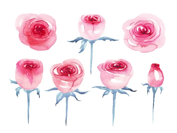Roses Watercolor Illustration Hand Painted — Stock Photo, Image