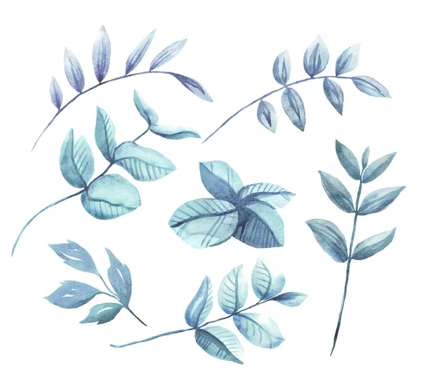 Ветки Листьями Акварель Рисунок Мбаппе — стоковое фото