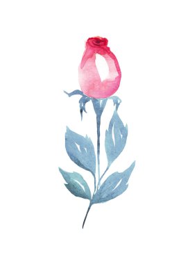 Gül. Suluboya çizimi. El boyası.