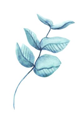 Yapraklı dal. Suluboya çizimi. El boyası.