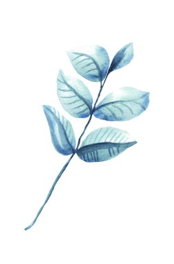 Yapraklı dal. Suluboya çizimi. El boyası.