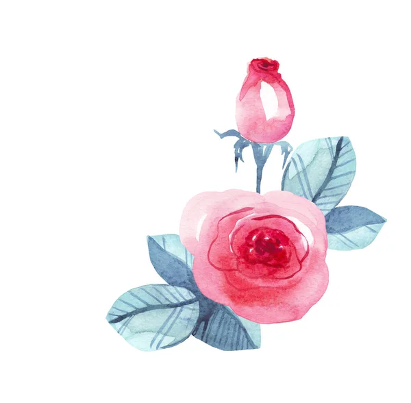 Roses Watercolor Illustration Hand Painted — Stock Photo, Image