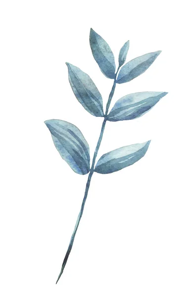 Ветка Листьями Акварель Ручная Картина — стоковое фото