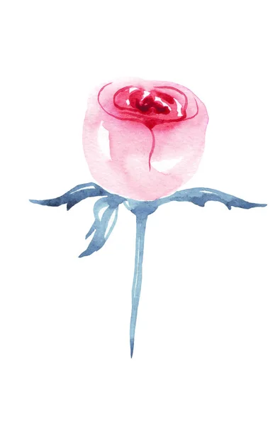 Rose Ilustración Acuarela Pintado Mano — Foto de Stock