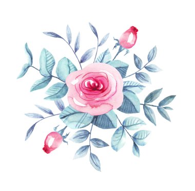 Güller. Suluboya çizimi. El boyası.