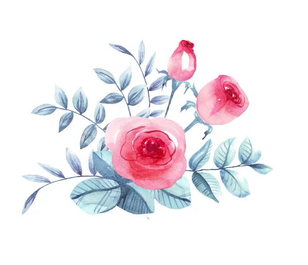 Троянди Акварельна Ілюстрація Рука Пофарбована — стокове фото