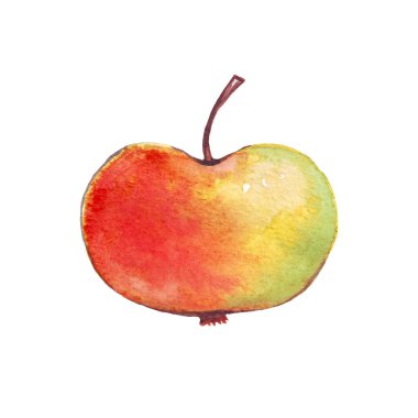 Elma. Suluboya çizimi. El boyası. 