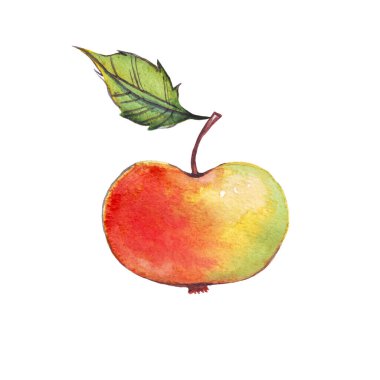 Elma. Suluboya çizimi. El boyası. 