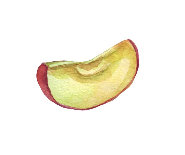 Apple Watercolor Illustration Hand Painted — Stock Photo, Image