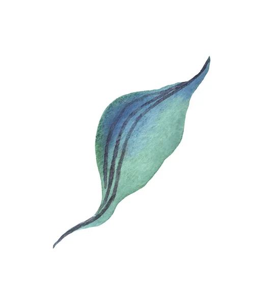Yaprak Suluboya Çizimi Boyası — Stok fotoğraf