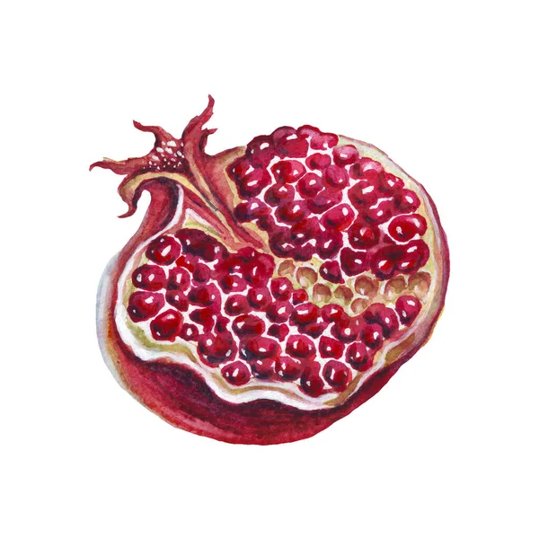 Pomegranate Watercolor Illustration Hand Painted Image — Stock Photo, Image