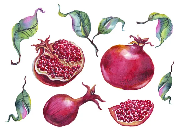 Granátová Jablka Nastavena Ilustrace Akvarelů Ručně Malované — Stock fotografie