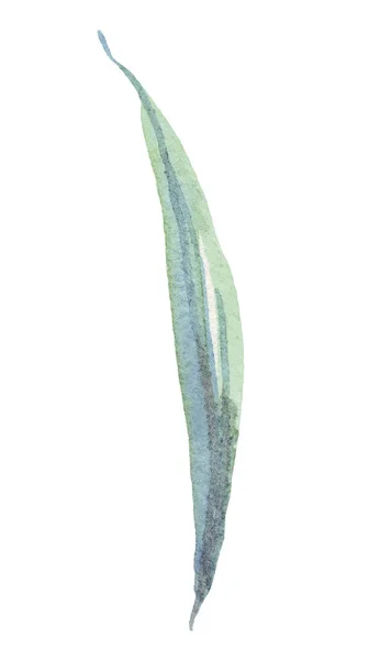 Grönt Löv Akvarell Illustration Handmålade — Stockfoto