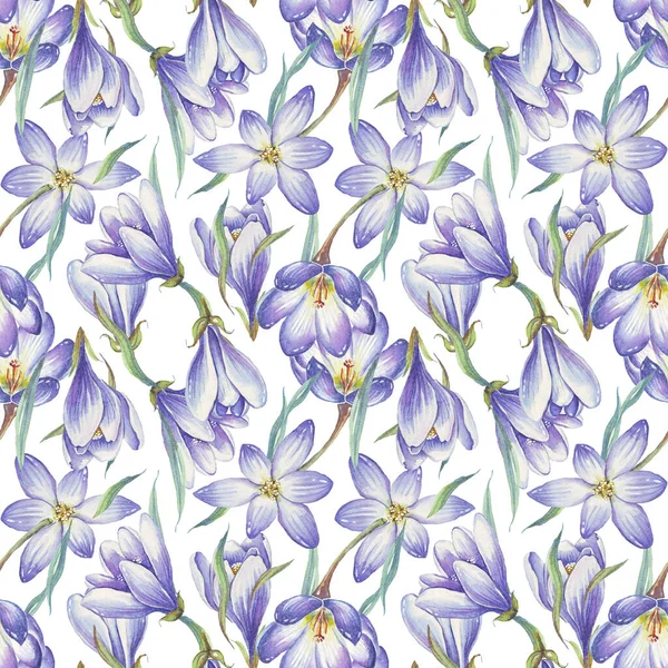 Jarní Květiny Bezešvé Vzor Krokusy Akvarelu Ručně Malované — Stock fotografie