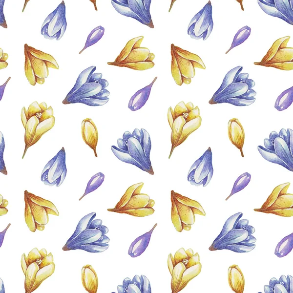 Весенние Цветы Бесшовный Узор Акварельные Крокусы Рисунок Мбаппе — стоковое фото