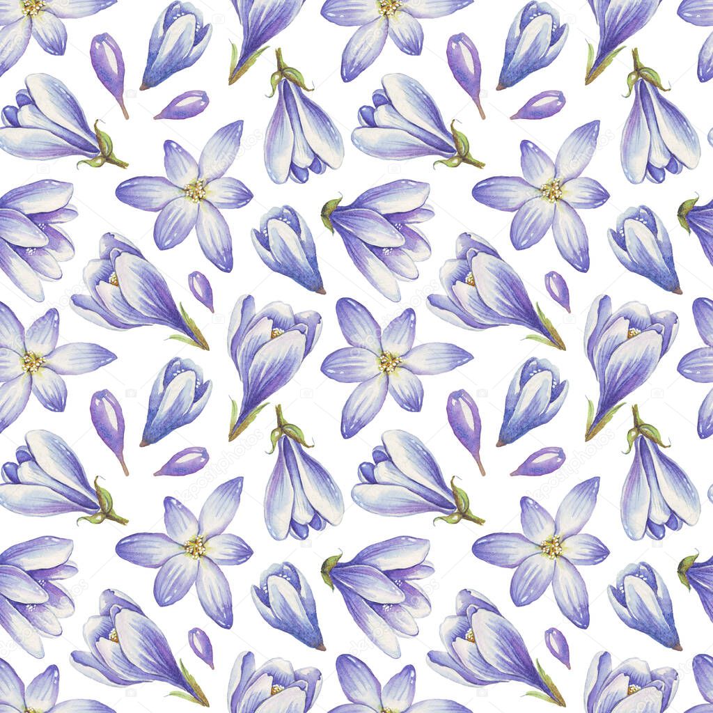Spring flowers seamless pattern. Watercolor crocuses. Hand-painted