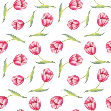 Suluboya laleler. Kusursuz desen. El boyaması.