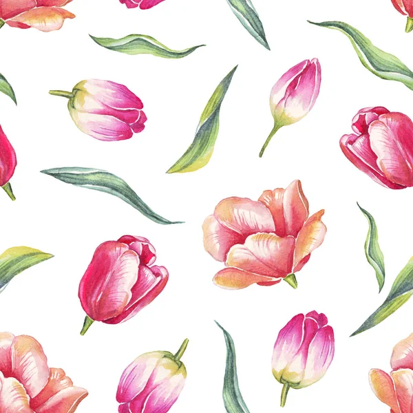 Akvarell Tulipánok Zökkenőmentes Minta Kézzel Festett — Stock Fotó