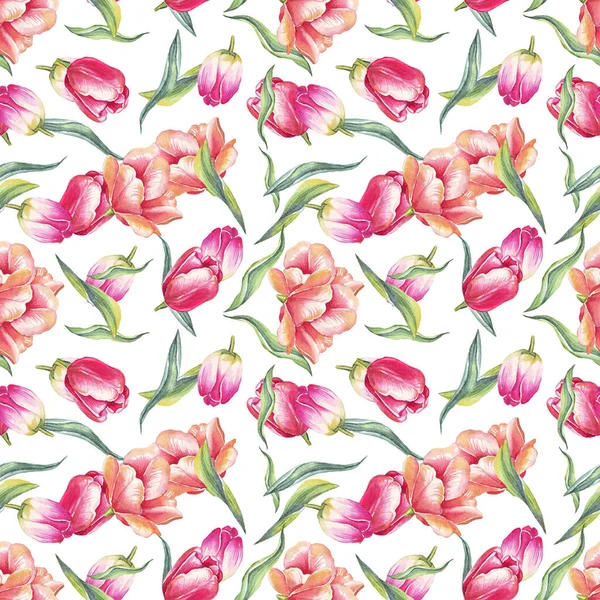 Suluboya laleler. Kusursuz desen. El boyaması.