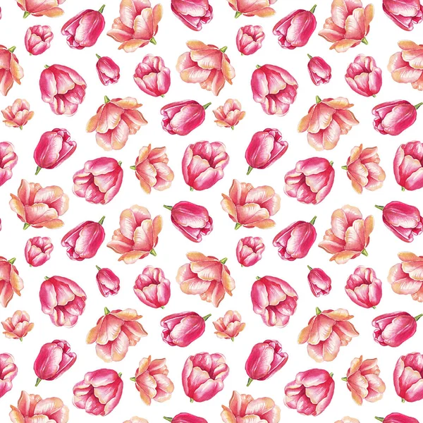 Akvarell Tulipánok Zökkenőmentes Minta Kézzel Festett — Stock Fotó