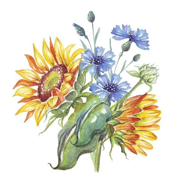 Bunga Matahari Dan Bunga Jagung Ilustrasi Warna Air — Stok Foto