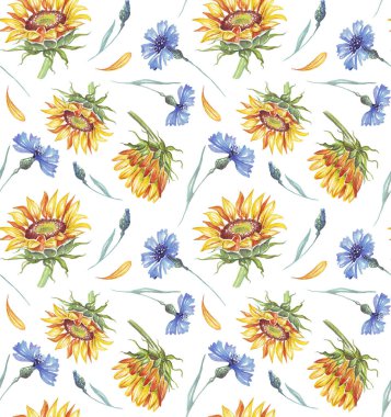 Ayçiçeği ve çiçek. Suluboya deseni