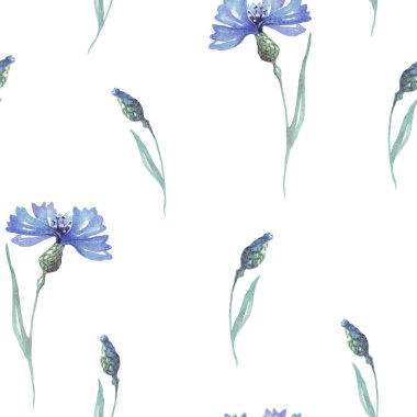 Suluboya conflowers. Kusursuz golf sopası. El boyaması.