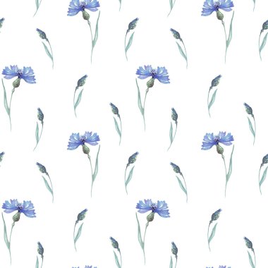 Suluboya conflowers. Kusursuz golf sopası. El boyaması.