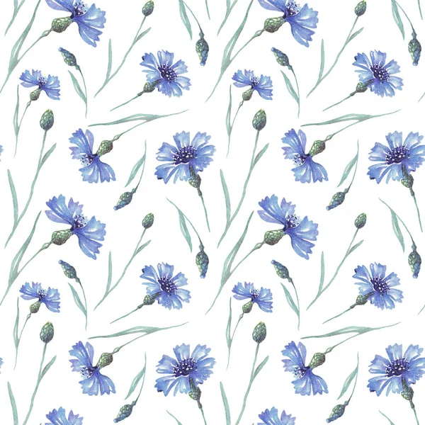 Suluboya conflowers. Kusursuz golf sopası. El boyaması.