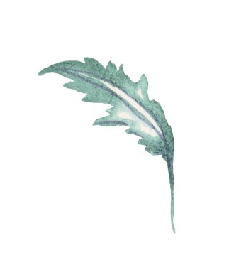 Yaprak. Suluboya çizimi. El boyaması.