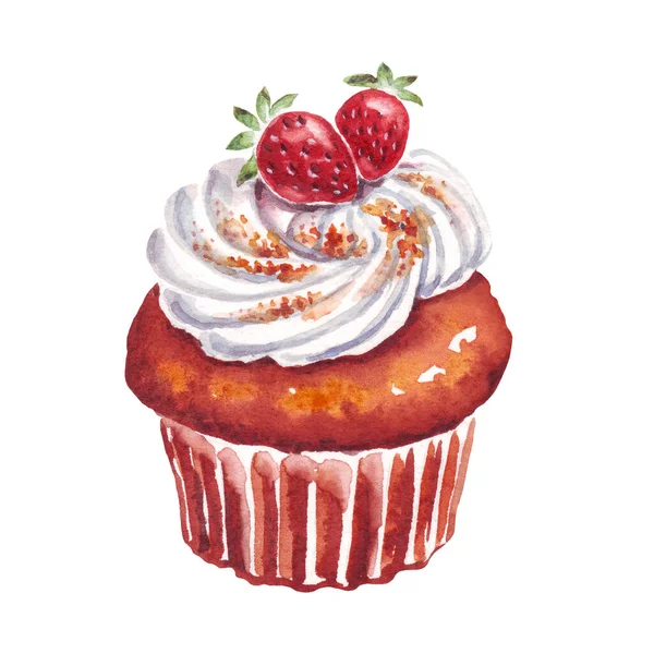Cupcake Het Dessert Aquarelillustratie Handgeschilderd — Stockfoto