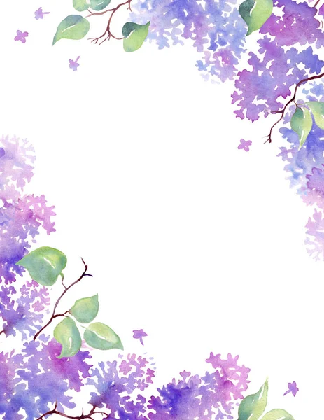 Lilac Ram Akvarell Illustration Handmålade — Stockfoto