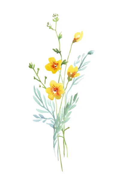 อดอกไม ปปาร — ภาพถ่ายสต็อก