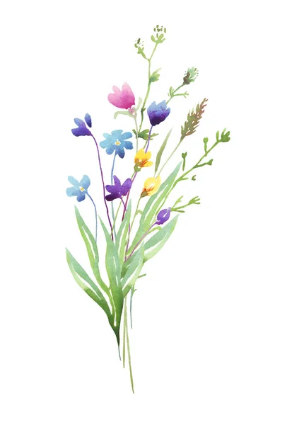 Wildblumenstrauß Aquarell Cliparts — Stockfoto