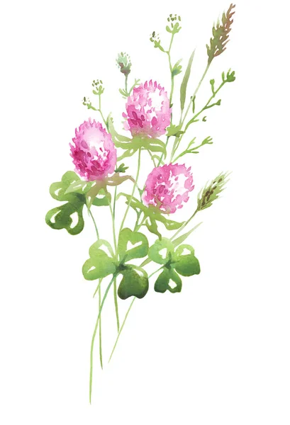 Vildblommor Bukett Vattenfärg Clipart — Stockfoto