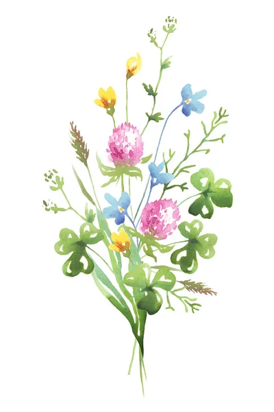 Bouquet Fiori Selvatici Clipart Acquerello — Foto Stock