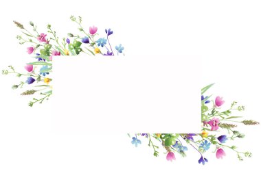 Kır çiçekleri çerçevesi. Suluboya Clipart