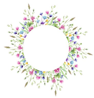 Kır çiçekleri çerçevesi. Suluboya Clipart
