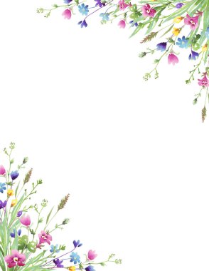 Kır çiçekleri çerçevesi. Suluboya Clipart