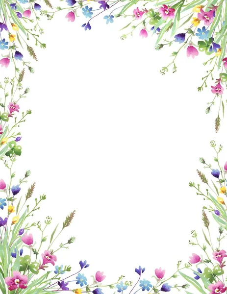 Рамка Полевых Цветов Акварель — стоковое фото