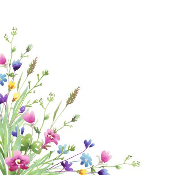 Kır çiçekleri çerçevesi. Suluboya Clipart